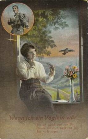 Wenn ich ein Vöglein wär' - Bin ich gleich weit von Dir