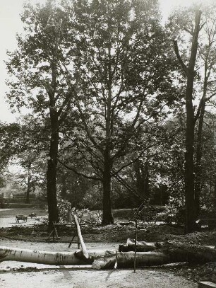Bautzner Straße : Dresden, Bautzner Straße, Verbreiterung der Bautzner Straße, oberhalb vom Waldschlößchen