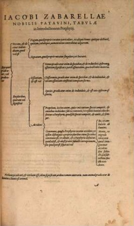 Opera, 3. Tabulae logicae