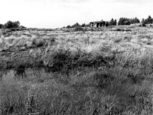 Ehemaliger Truppenübungplatz Königsbrück. Sella. Panzerübungshügel mit Bunker