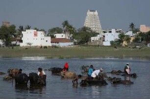 Indien. Tamil Nadu 6