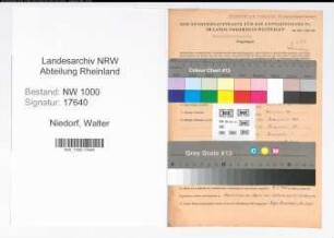 Entnazifizierung Walter Niedorf, geb. 30.06.1903 (Wohnungsverwalter)