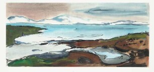 Norwegische Landschaft - Zwischen Geilo und Kinsarvik
