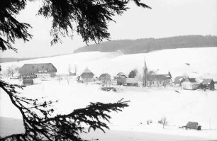 Waldau: Blick von der Höhe auf Waldau; Vordergrund Tannenast