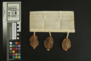 Hechtsheim: Locatio perpetua Capituli Ecclesie St. Victoris extra muros Mogunt. Decime Annone in Campis in villa Hechedisheim Capitulo ecclesie St...