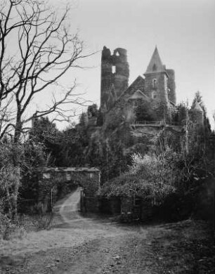 Waldhof-Falkenstein. Burg Falkenstein (Ruine) (1101/1150? und 1679 zerstört)