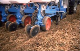 Fotografie: Säverfahren, Einzelkornsaat, Mais, Mulchsaat, Zwischenfrucht