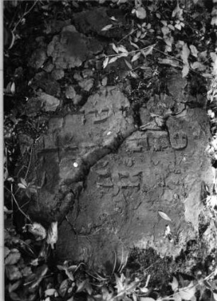 Grabstein 619 (1)