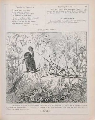 "Fabel"