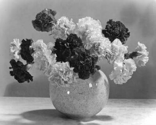 Blumen. Nelkenstrauß in Kugelvase