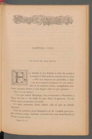 Capítulo XXIX - El dolor de una madre