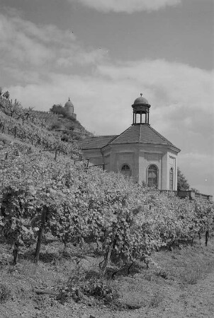 Radebeul. Schloß Wackerbarth, Belvedere, Weinberge und Jakobstein
