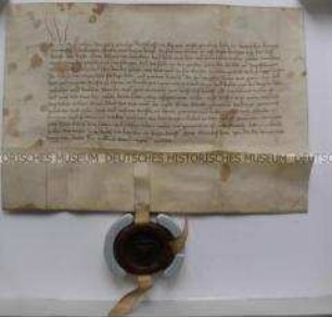 Lehnbrief von Raban von Helmstätt Bischof zu Speyer für Cuno Alheim von Dürckheim über das Mannlehen über die Pastorei und den Teil vom Zehnten der Stadt Impflingen