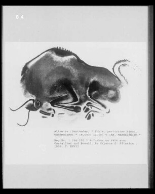Wandmalerei in der Höhlenwohnung in der Altamira-Höhle: Bison