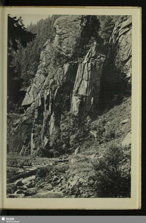 Felsen im Okertal