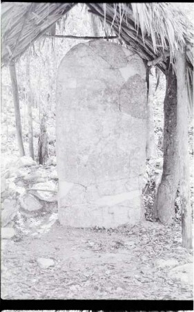 Coba, Stela 6 (COB: St. 6)