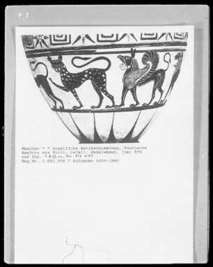 Pontische Amphora aus Vulvi, Detail: Fabelwesen