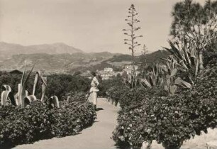 Bordighera. Par mit Agaven und Kakteen