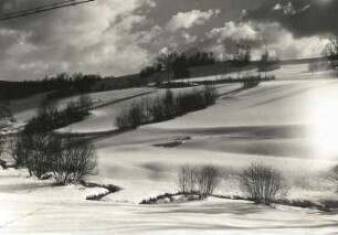 Osterzgebirge. Verschneiter Hang an der Straße Schmiedeberg - Frauenstein (Ochsenbachtal)