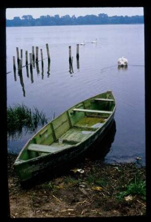 Havel b. Werder 6.6.79.