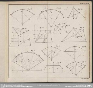 Fig: 80-91. Taf: VIII.