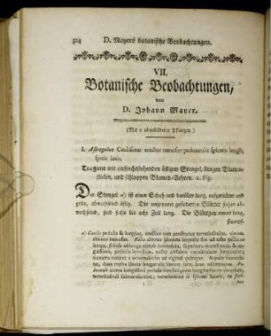 VII. Botanische Beobachtungen.