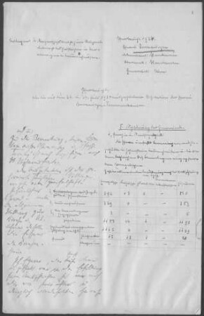 Bermaringen-Temmenhausen: Pfarrbericht 1924