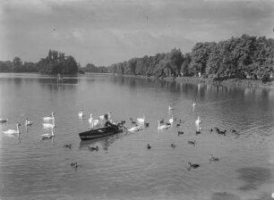 Altenburg. Stadtpark. Großer Teich