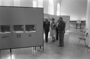 Museum am Friedrichsplatz (Naturkundemuseum). Sonderausstellung "Tierwelt der Mittelmeerküste"
