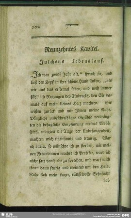 Neunzehntes Kapitel. Julchens Lebenslauf