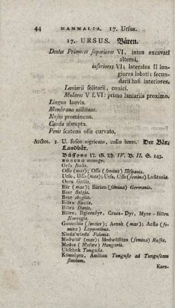 17. URSUS