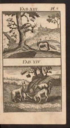 Pl. 7. Fab. XIII. Fab. XIV.