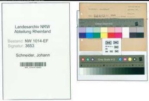 Entnazifizierung Johann Schneider , geb. 00.00.0000 (Verwaltungsinspektor)