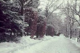 Deutschland. Spazierweg im Winter (vielleicht in Bad Wörishofen)