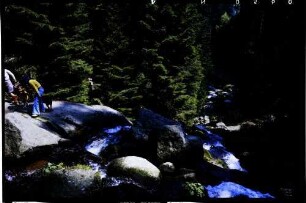 Triberg: Triberger Wasserfälle, hinunter in die Schlucht