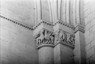 Löwe und Greif