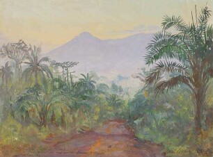 Landschaft Towe bei Palime. Im Hintergrund der Agu mit der [?] Missionsstation "Agu". 5. Feb. 1914