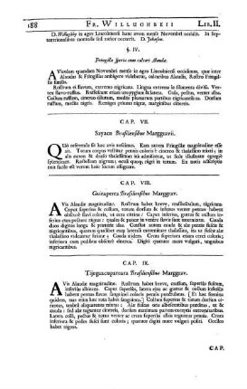 Cap. VII. Sayacu Brasiliensibus Marggravii