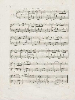 No6