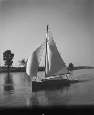 Dresden. Segelboote auf der Elbe zwische Blasewitz und Pillnitz