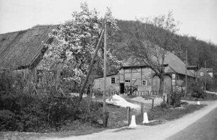 Kneeden: Wirtschaftsgebäude: davor Pferd: links weiteres Gebäude: hinten rechts Wohnhaus: vorn Straße, Strommast, Bäume und Büsche: hinten Kneeden