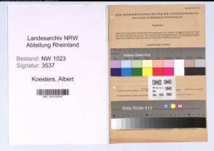 Entnazifizierung Albert Koesters , geb. 18.09.1891 (Angestellter)
