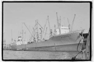 Wildenfels (1962), Hansa, Bremen