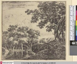 [Waldlandschaft mit Flusslauf, rechts ein Hügel mit kleinem Weg; Three Large Trees on a Hill; Bomen bij een rivier]