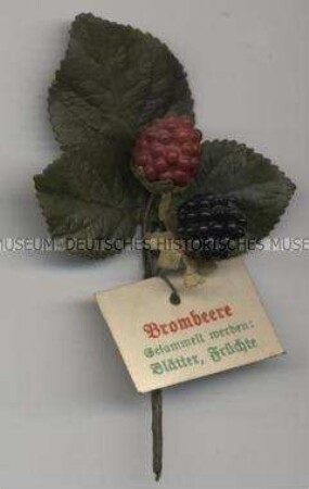 WHW-Abzeichen, Heilpflanzen: Brombeere, 7. Reichsstraßensammlung vom 29./30. März 1941