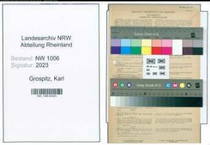 Entnazifizierung Karl Grospitz , geb. 23.07.1906 (Rechtsanwalt)