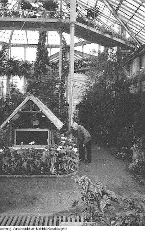 Verschiedenes, Gespräch mit Erwin Geschonneck über seinen Film "Hauptmann von Köln", Palmenhaus in Pillnitz, Schwäne im Großen Garten, Brunnen vor dem Studentenwohnheim Güntzstraße, Geldgewinn beim Sporttoto, Kulissenaufbau für den Film "Rosenstrasse", Reproduktionen: Mordlisten des Besattungsamtes der Nationalsozialisten, u.a., Januar-Juni 1957