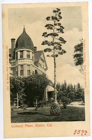 Rialto, Hotel. Century Plant, Rialto, Cal.