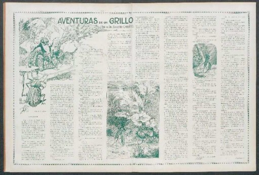 Aventuras de un grillo