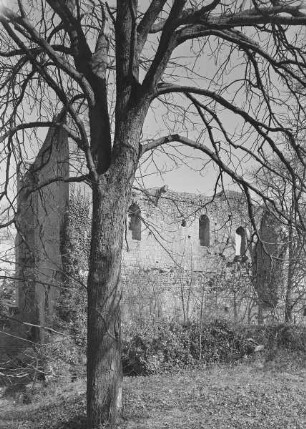 Altes Schloss des Foulque Nerra
